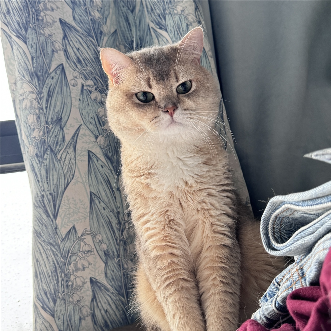 眼酱大魔王w---24年06月Fantia会员订阅-38P6V-8133-MB-20240904k-09-06