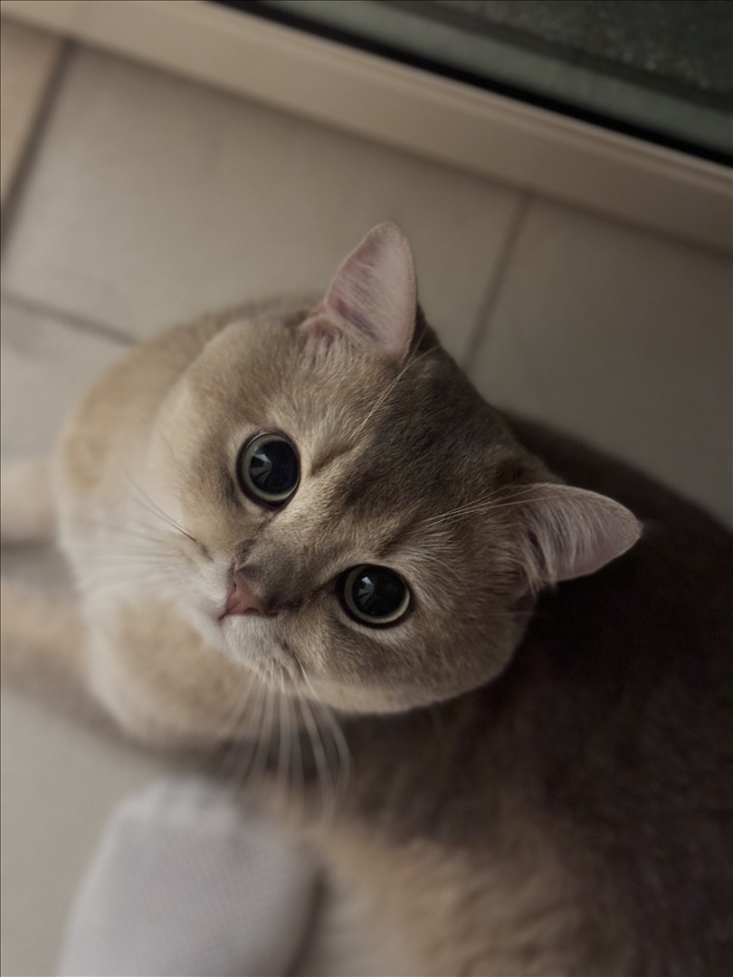 眼酱大魔王w---24年06月Fantia会员订阅-38P6V-8133-MB-20240904k-09-06