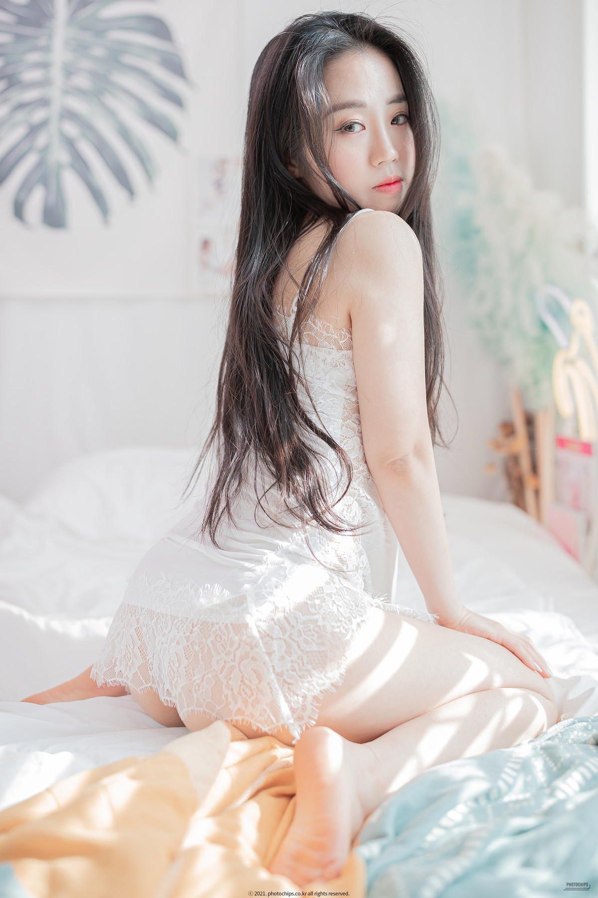 Dami-퀸다미-PhotoChips-포토칩스는-Vol76-12-24
