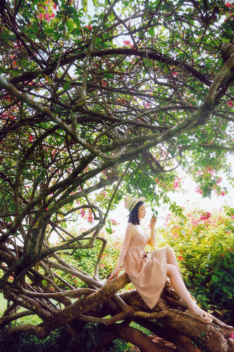 年年---白露43P-253M-01-23