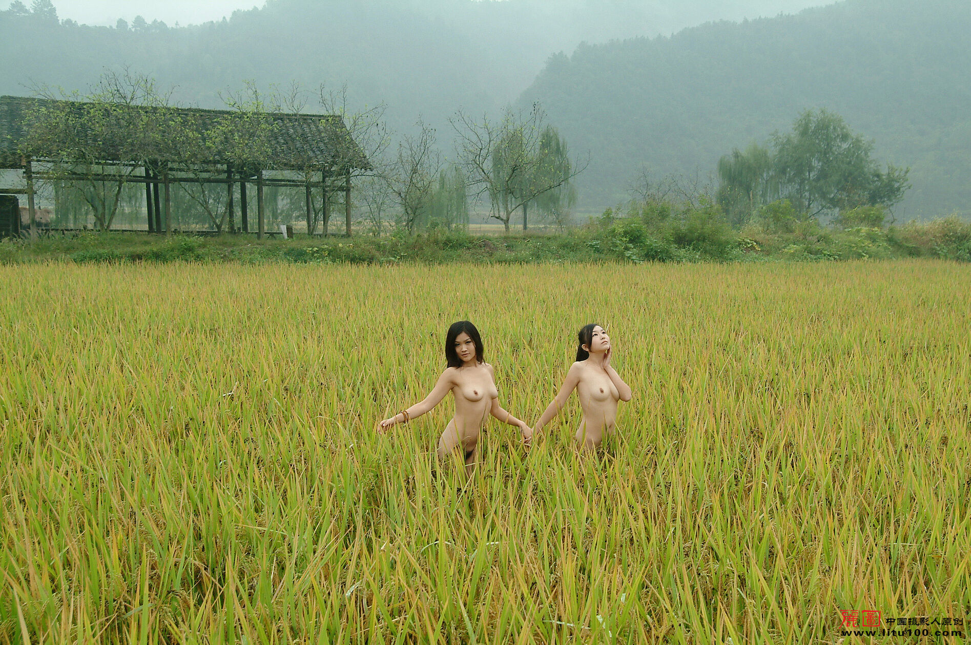 LITU100丽图-20071013-静雨-Vol04-丽图写真-人体美媚馆-10-25