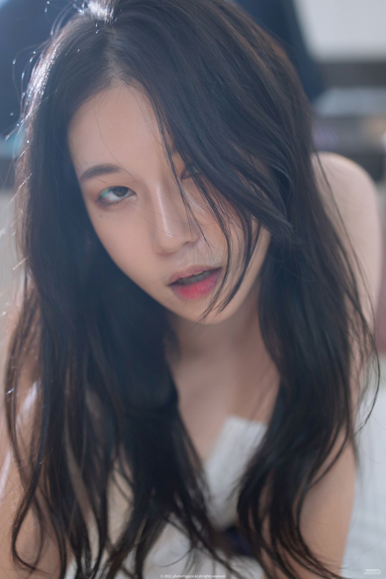 Baebae---No06--X-Partner-08-15