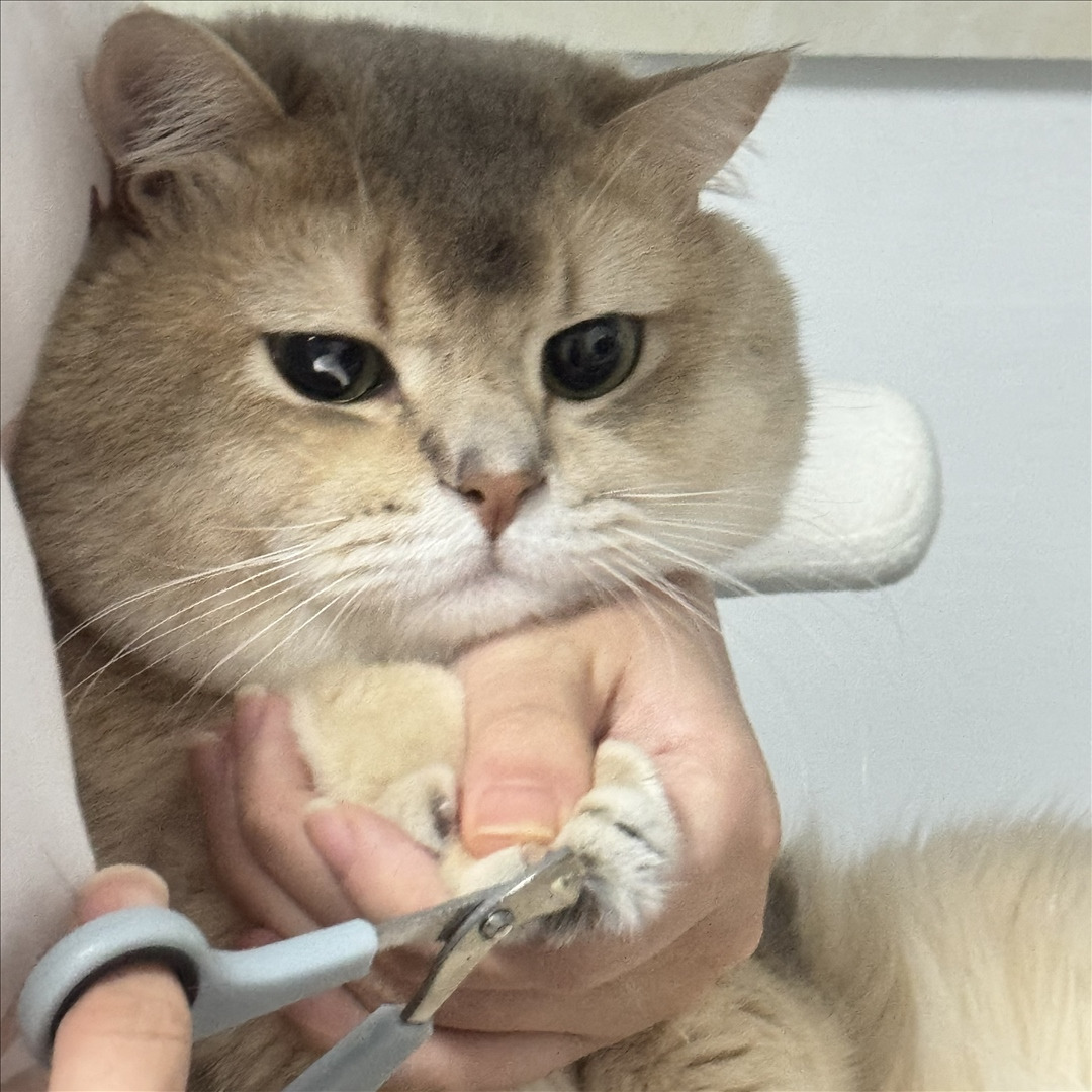 眼酱大魔王w---24年06月Fantia会员订阅-38P6V-8133-MB-20240904k-09-06