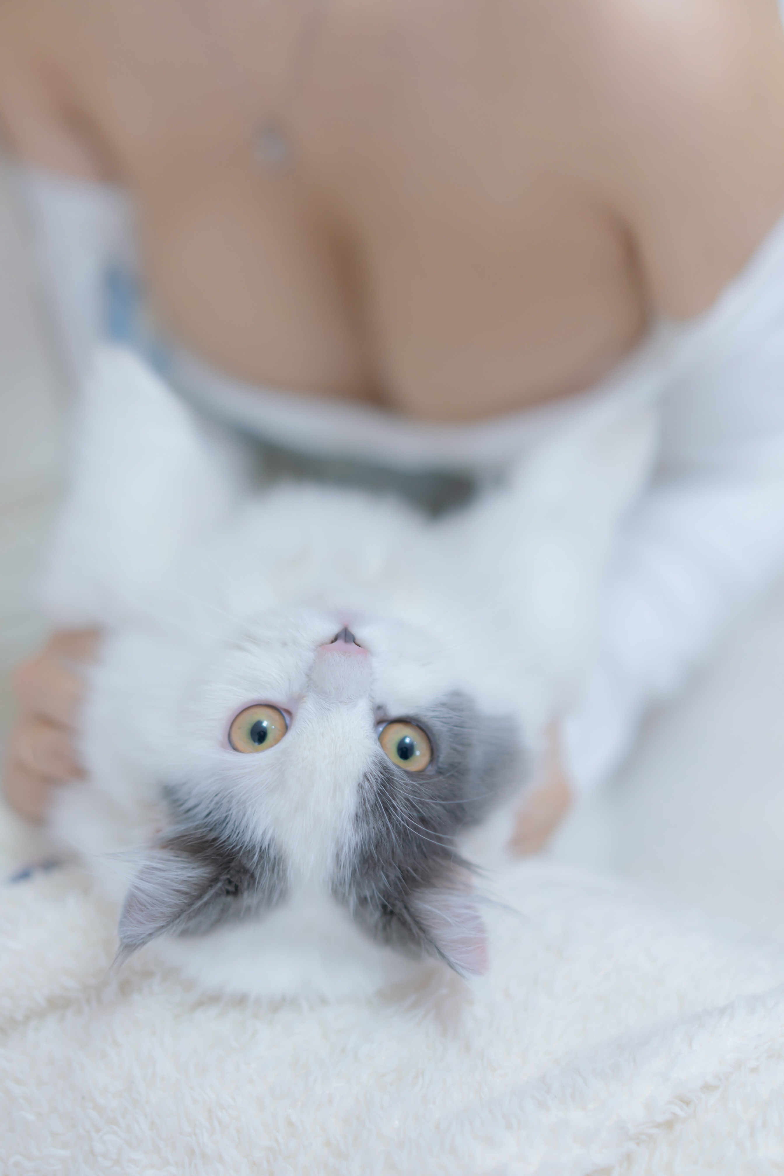 过期米线线喵-我和猫-02-11