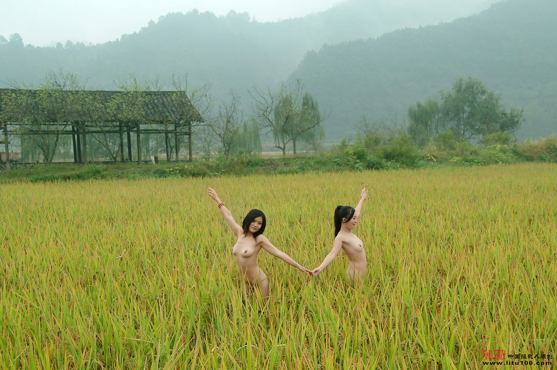 LITU100丽图-20071013-静雨-Vol04-丽图写真-人体美媚馆-10-25