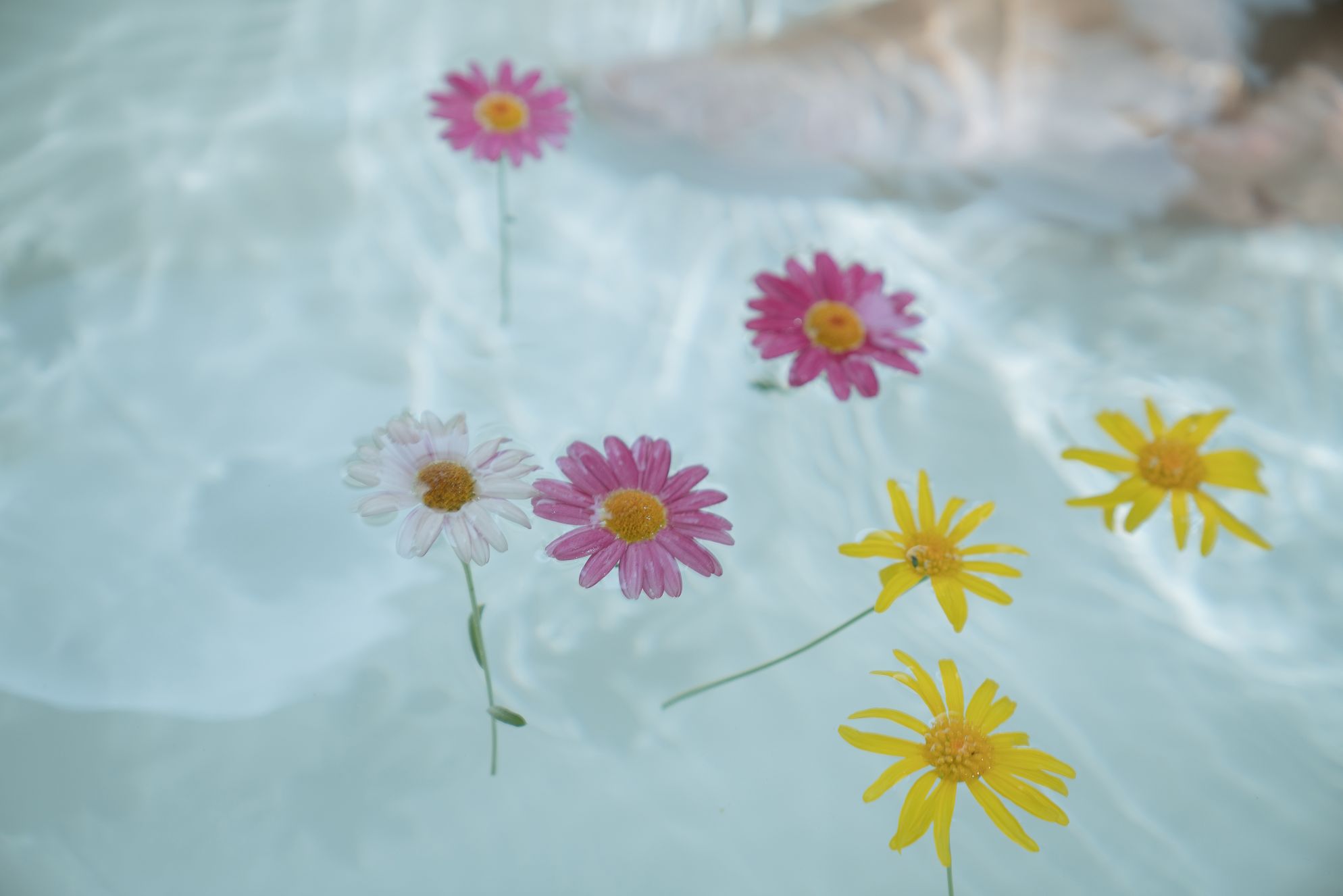 萌芽儿o0-浴缸-72P-1760MB-03-19