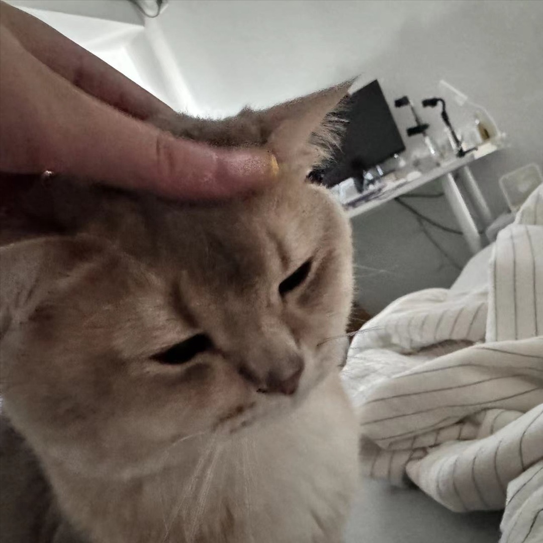 眼酱大魔王w---24年07月Fantia会员订阅-41P4V-9111-MB-20240901ad-09-03