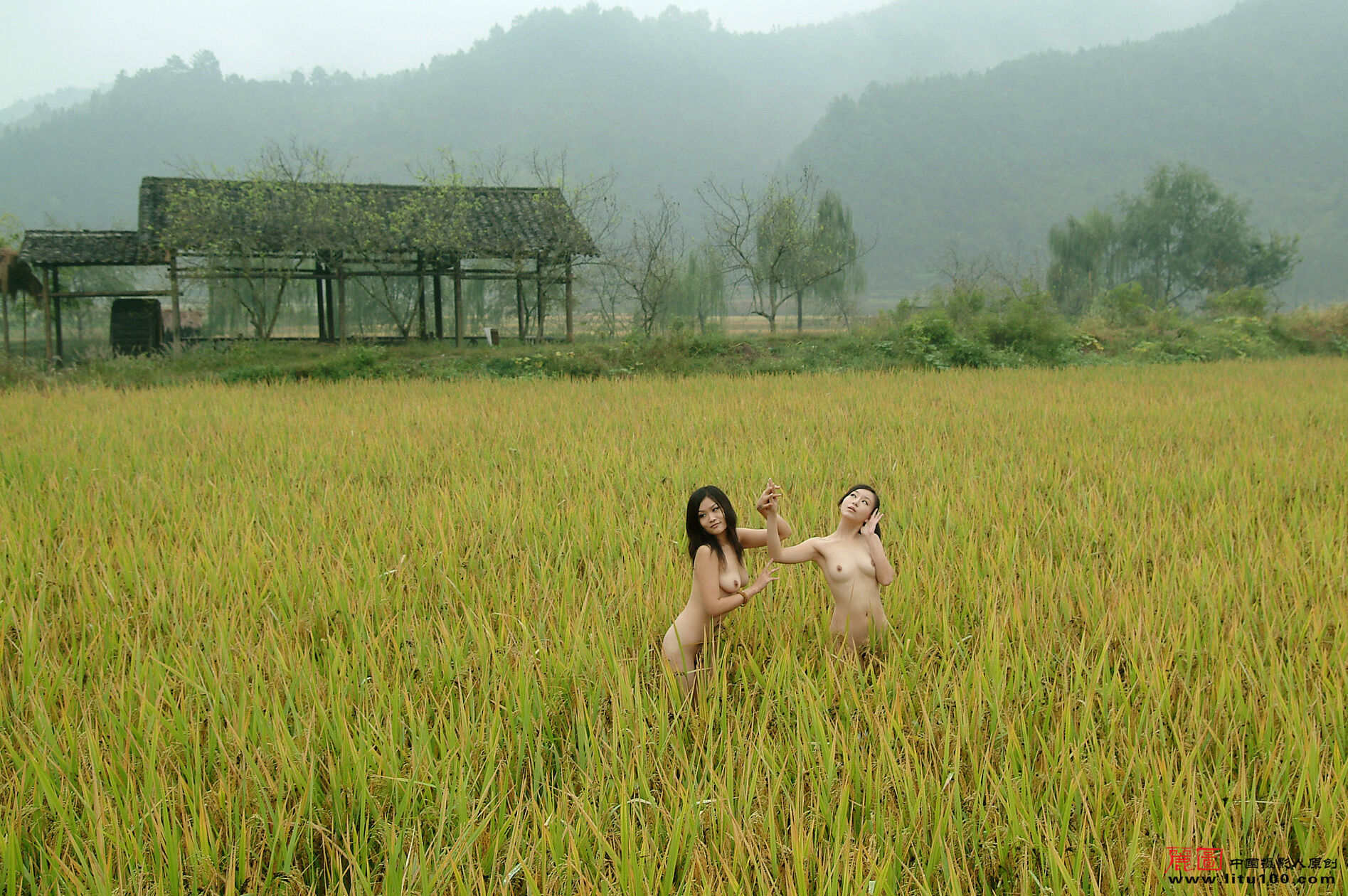 LITU100丽图-20071013-静雨-Vol04-丽图写真-人体美媚馆-10-25