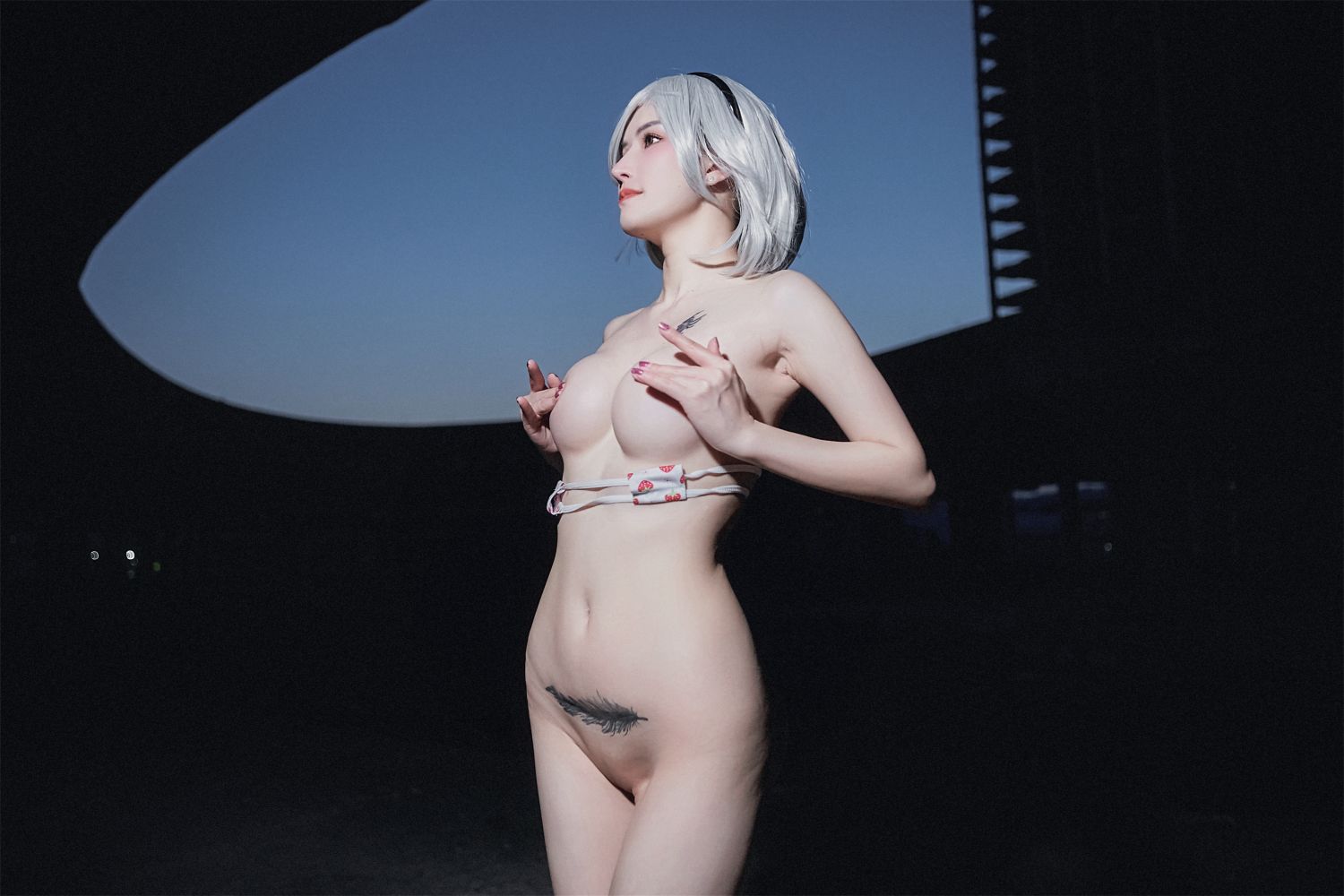 鹿八岁baby---尼尔机械纪元-2B废墟-05-18