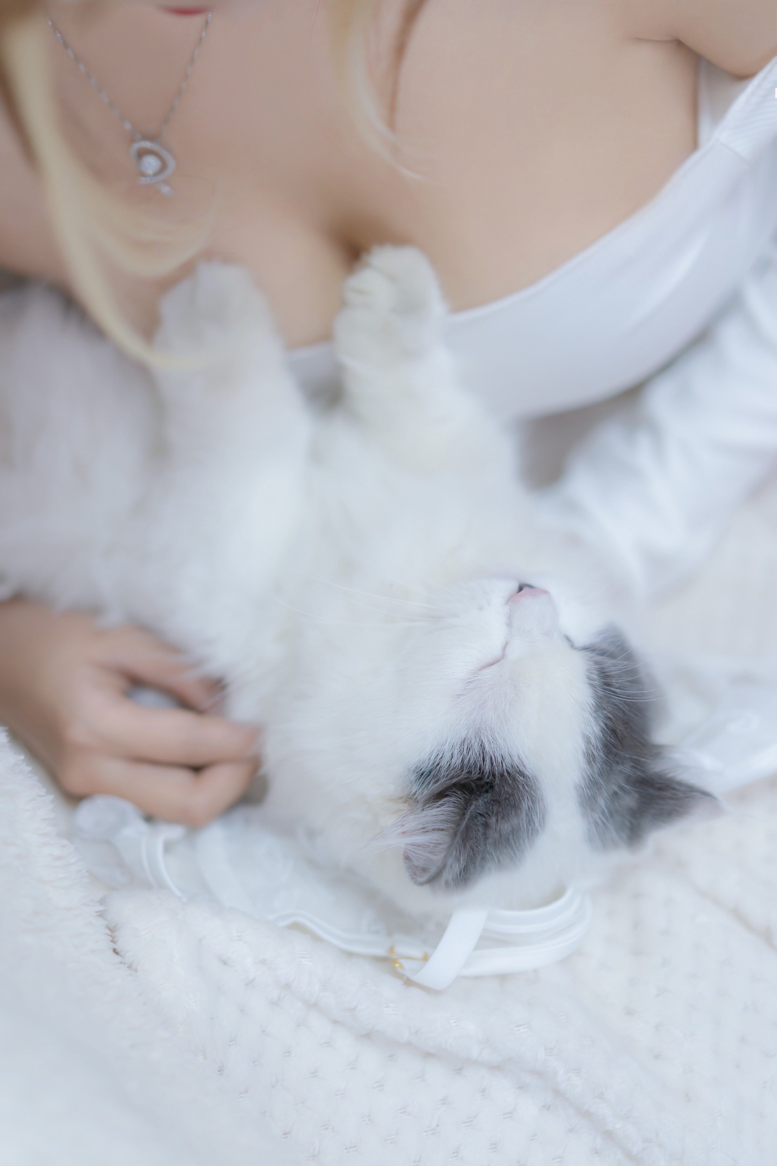 过期米线线喵-我和猫-02-11