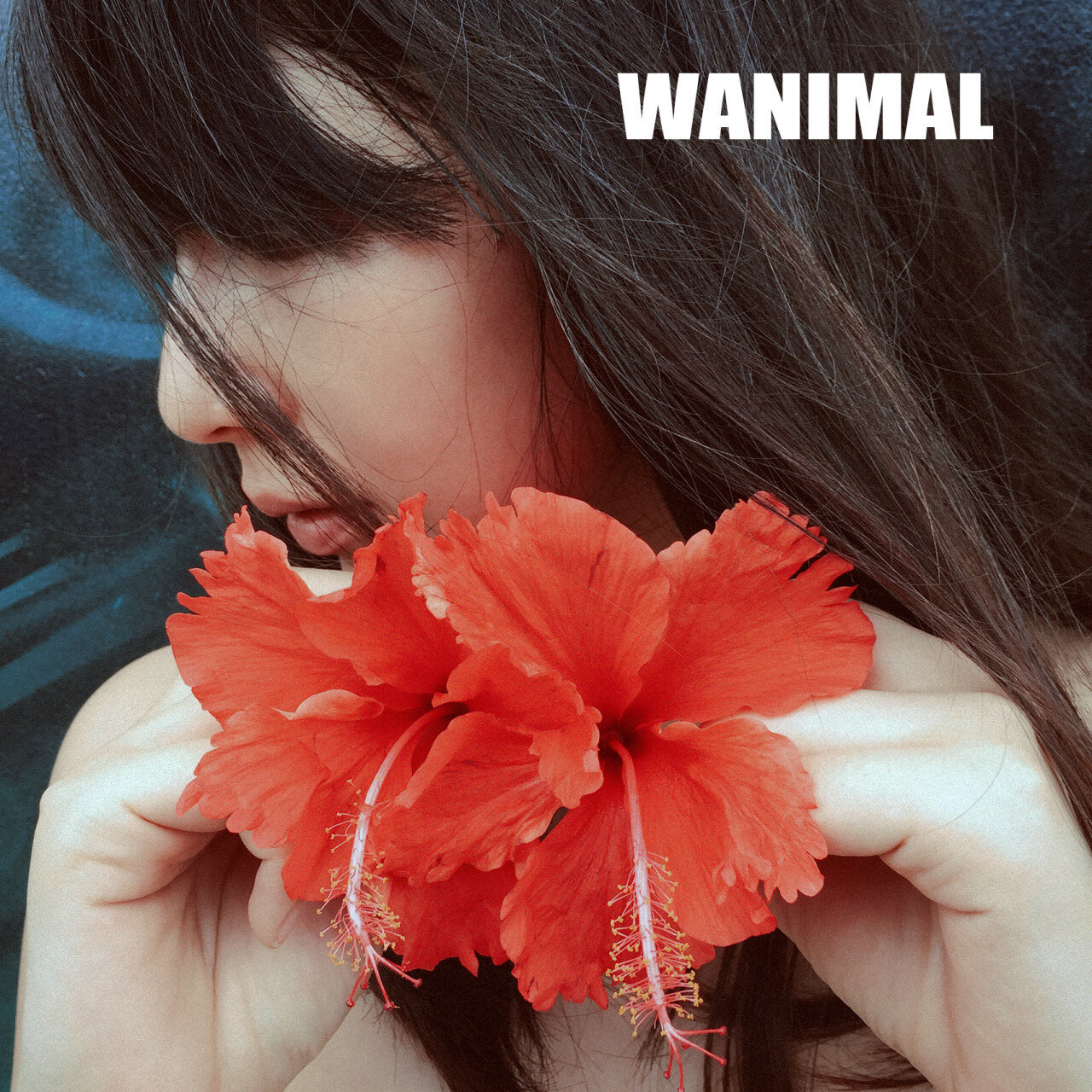 WANIMAL王動系列-Tumblr博客寫真作品-Set27-04-15