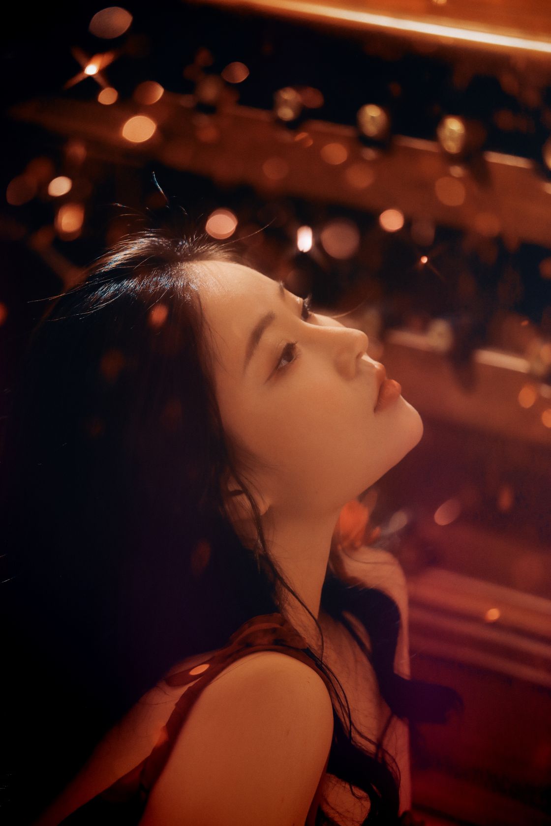 年年---落日蔷薇30P-4124M-01-24