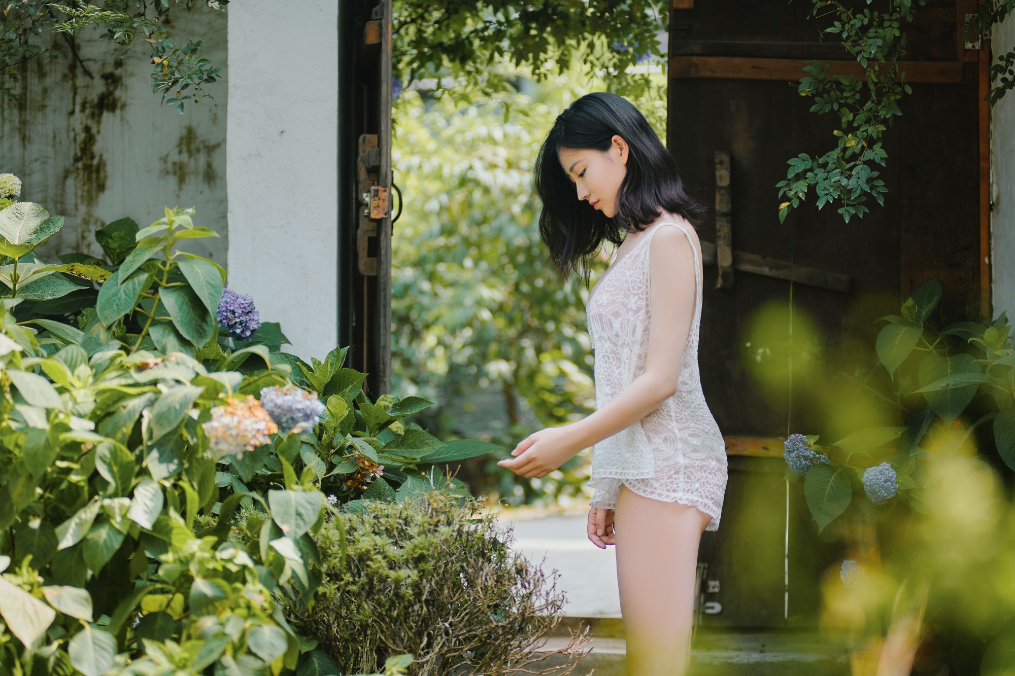 年年---夏日精灵41P-3572M-01-25