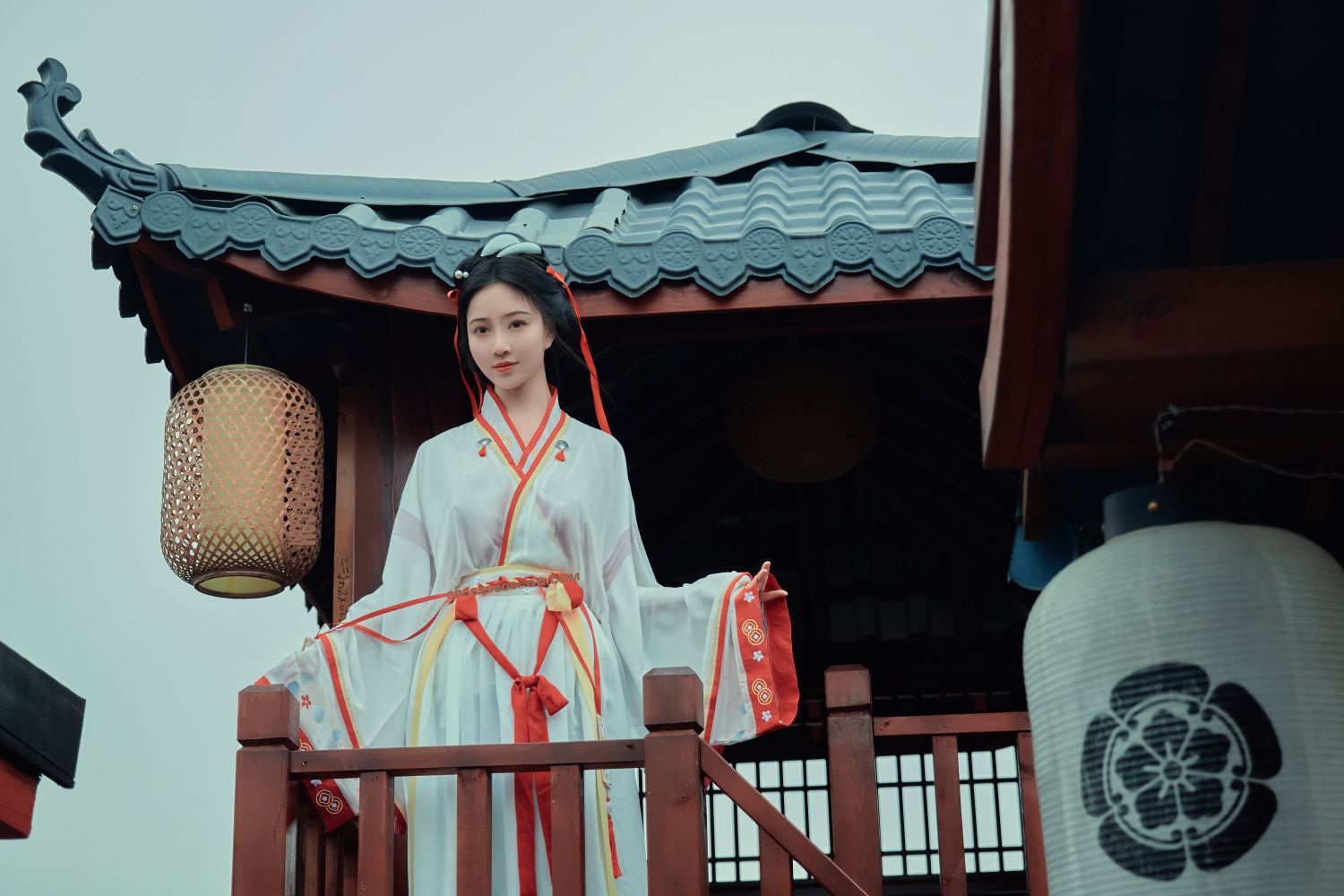 年年---如梦令40P-7333M-01-25