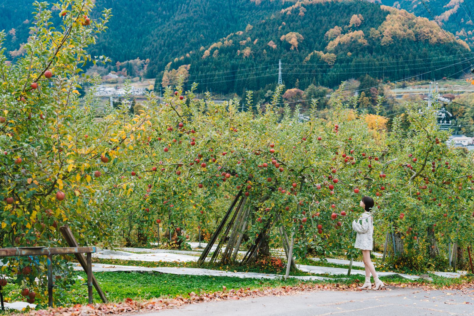 けん研けんけん-湯めぐりけんけん二泊三日-104GB-03-12