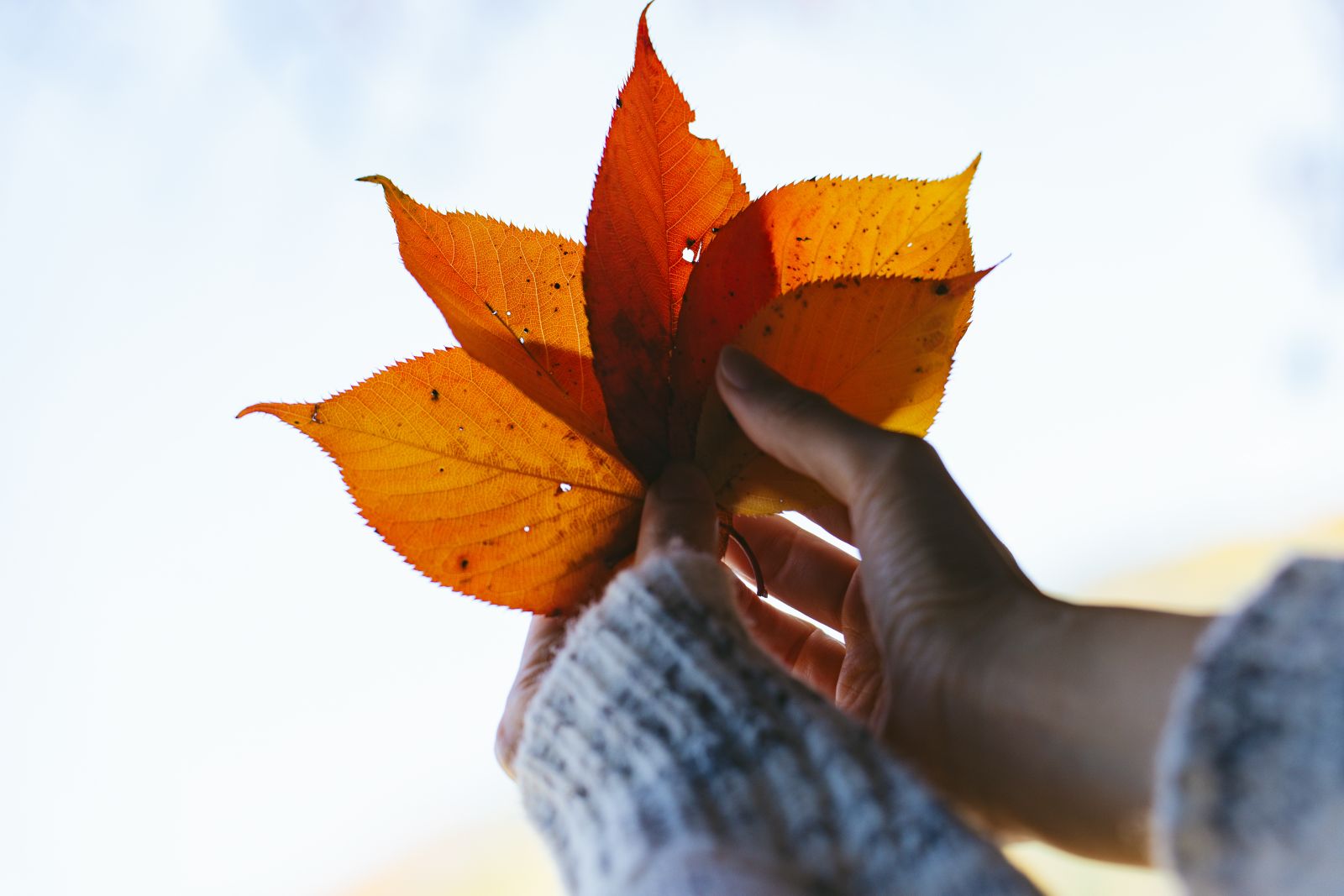 けん研けんけん-湯めぐりけんけん二泊三日-104GB-03-12