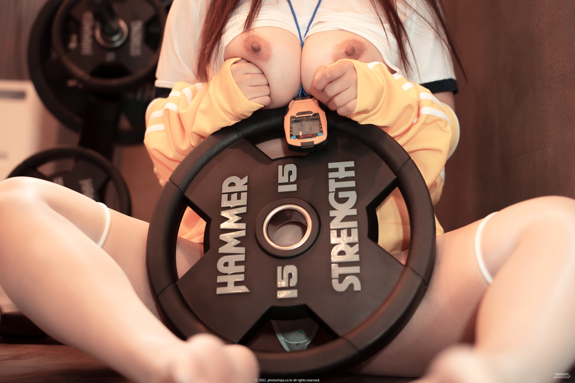 Bokbunjajoo-복분자주-PhotoChips-Vol110-포토칩스는-No21-Set02-02-28