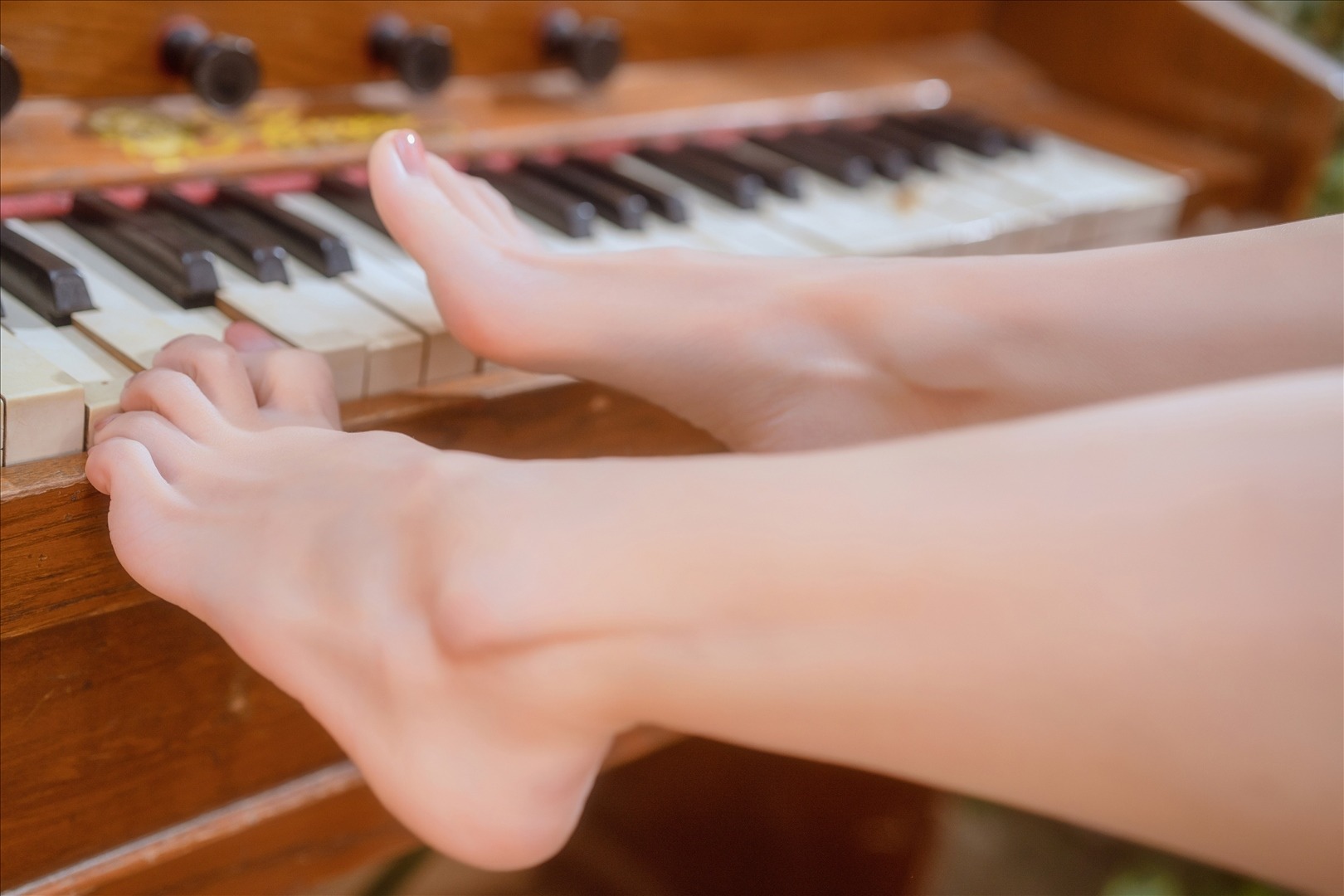 桃良阿宅---小院-55P-55P-23997-MB-20240815h-08-17