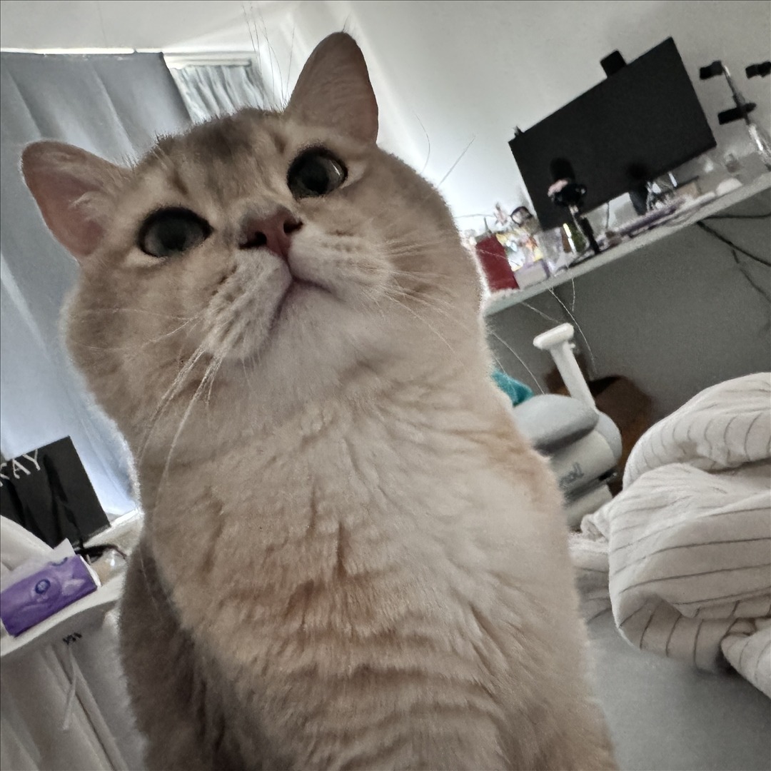 眼酱大魔王w---24年07月Fantia会员订阅-41P4V-9111-MB-20240901ad-09-03