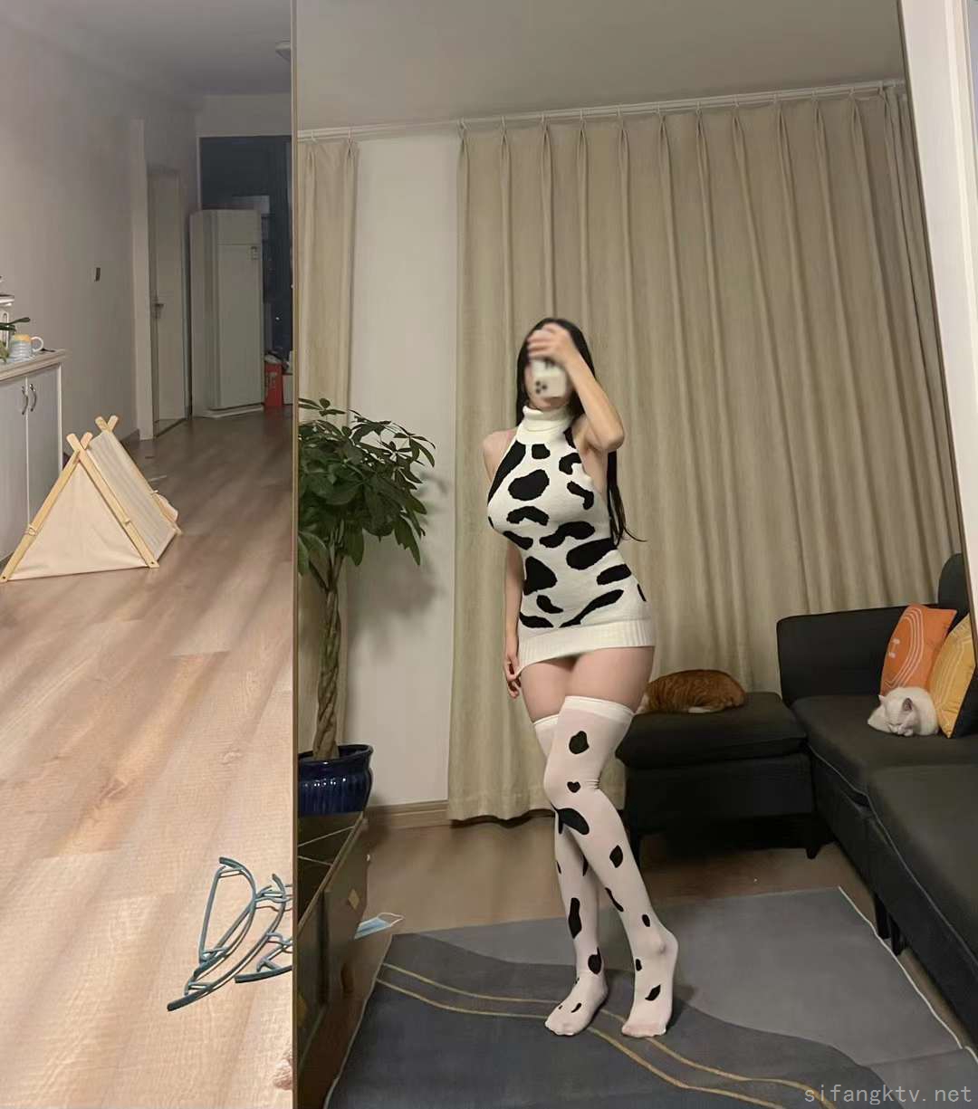 3087-笨蛋初初-08-25