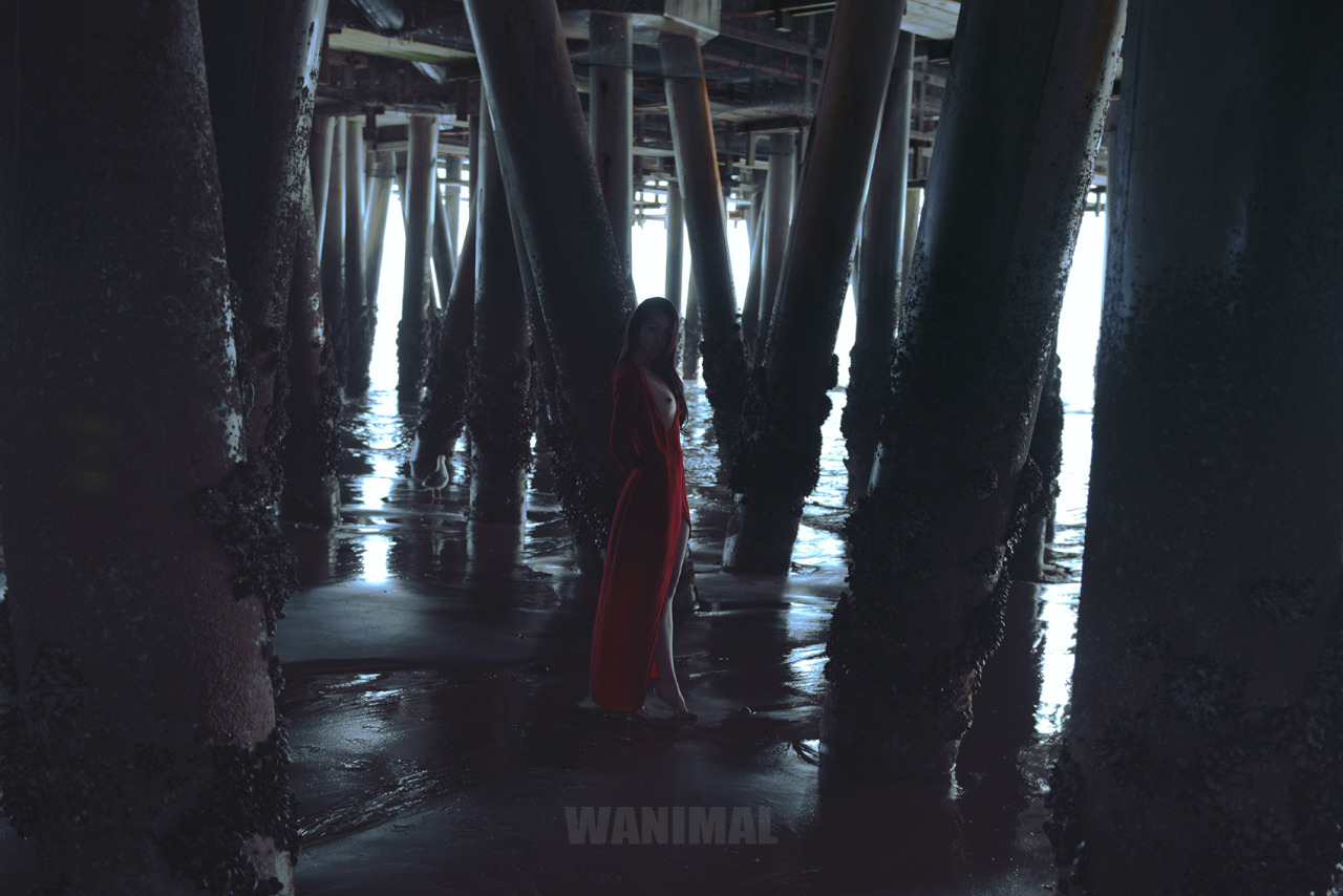 WANIMAL王動系列-Tumblr博客寫真作品-Set27-04-15