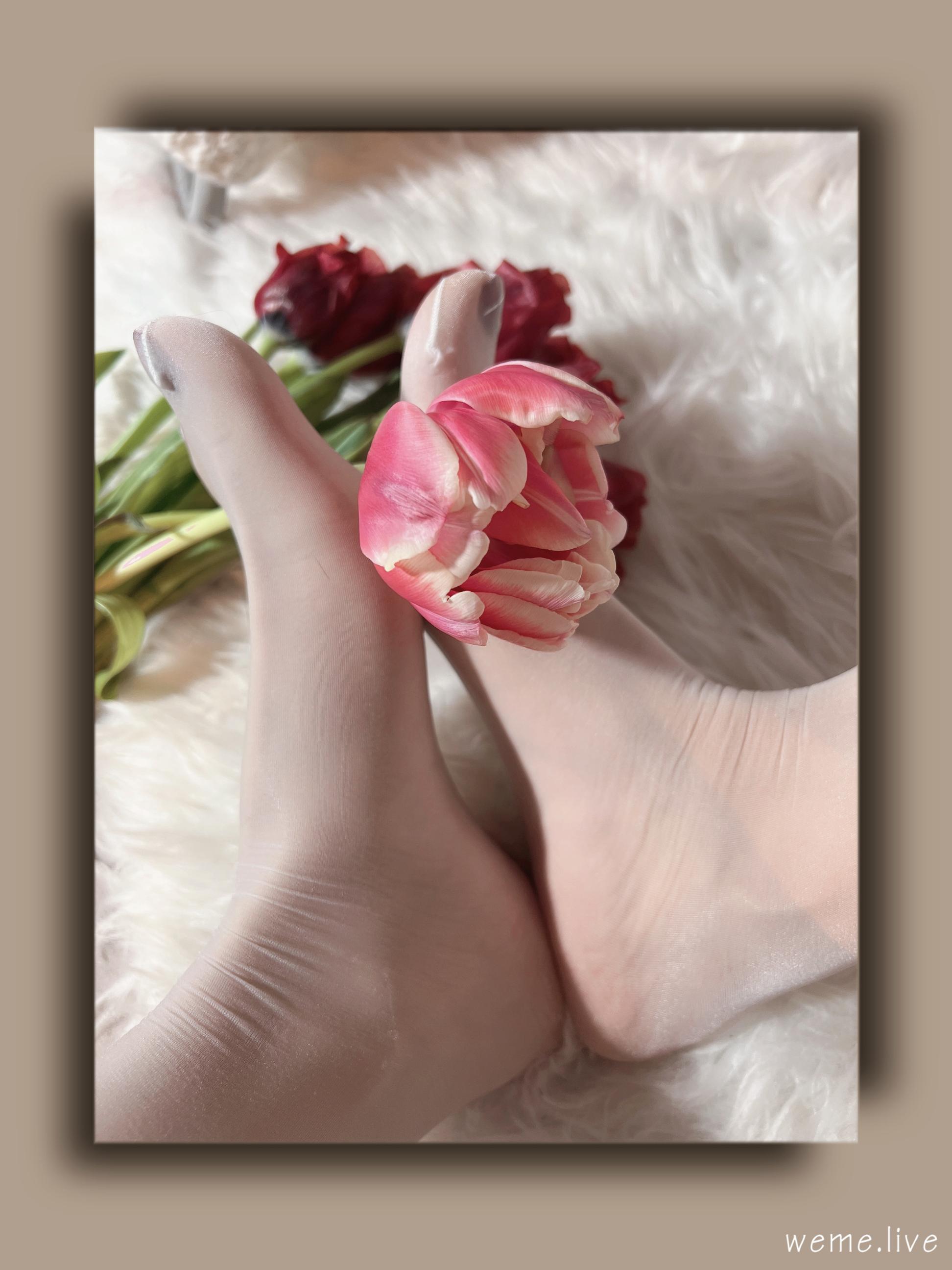 014纪念小小v5--微密圈系列-枯萎的郁金香28P-371M-08-29