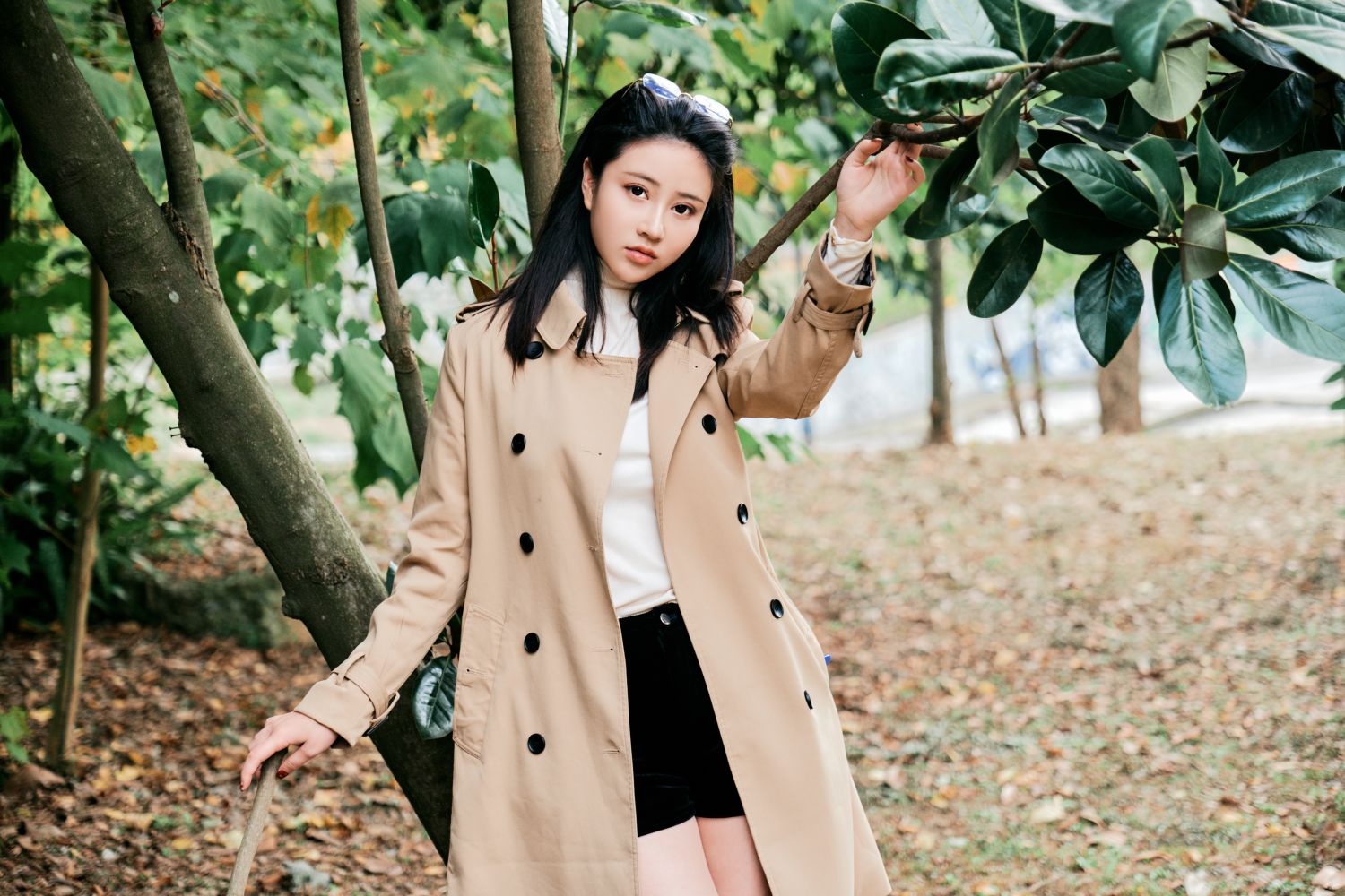 年年---枫洄55P-3292M-01-23