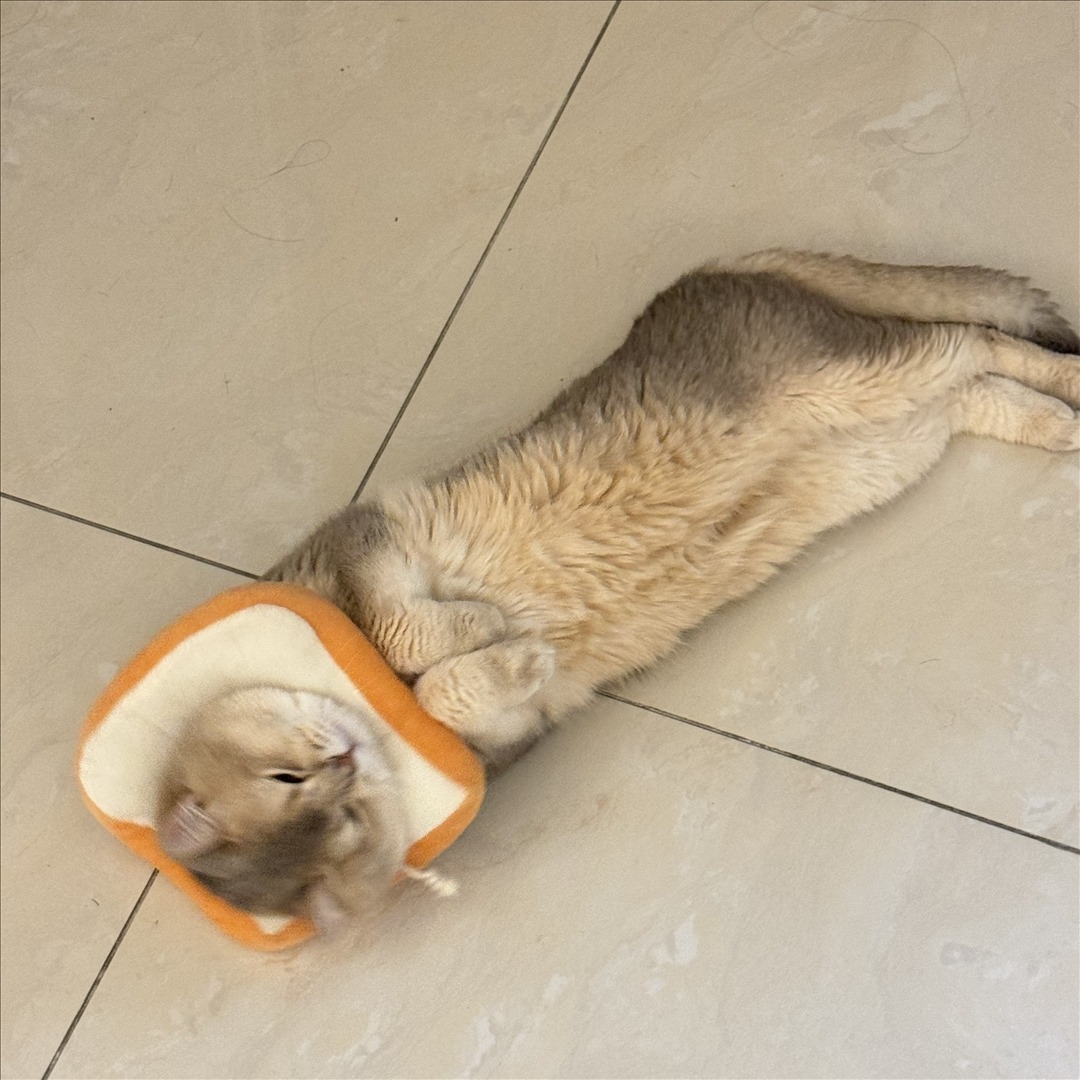 眼酱大魔王w---24年07月Fantia会员订阅-41P4V-9111-MB-20240901ad-09-03