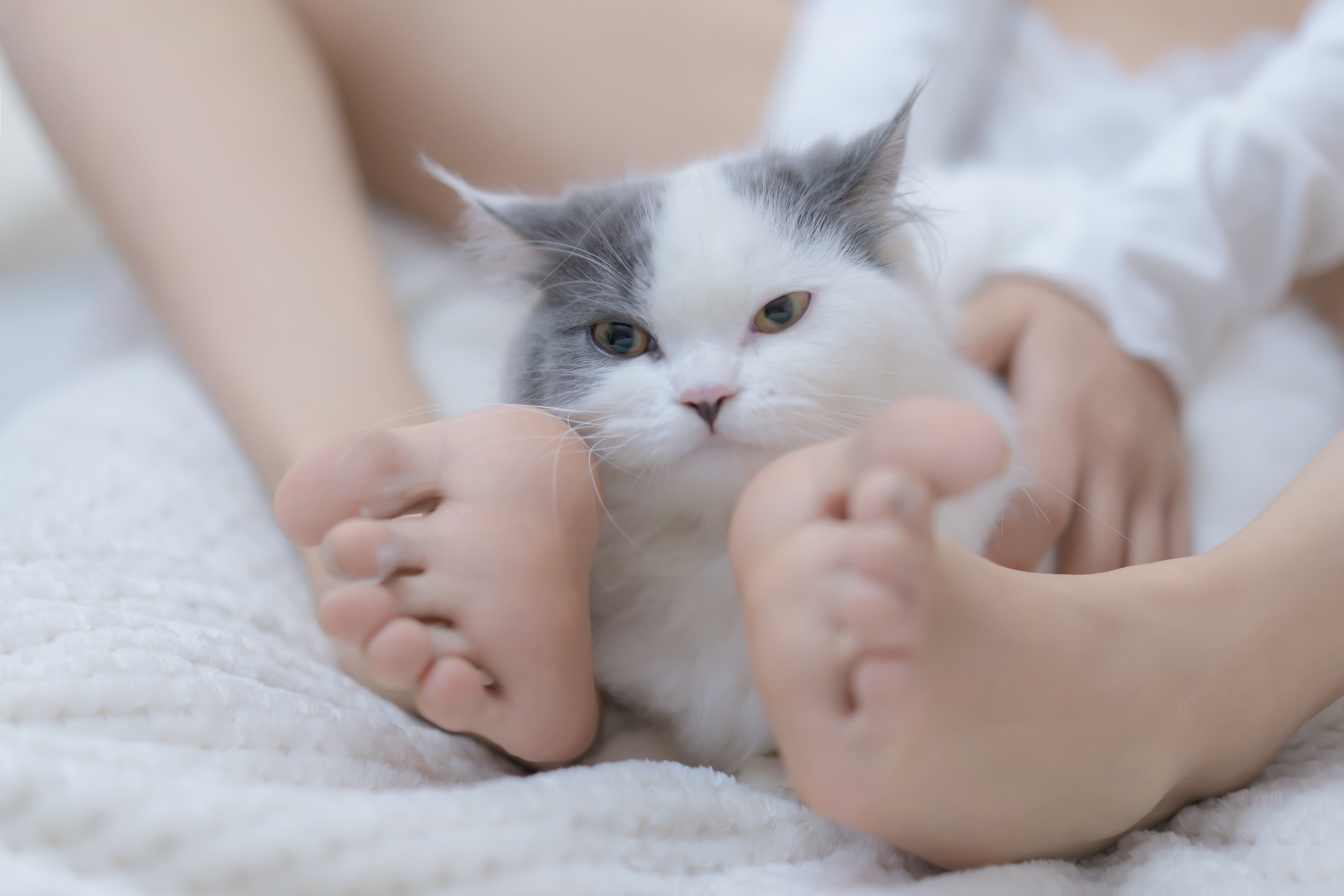 过期米线线喵-我和猫-02-11