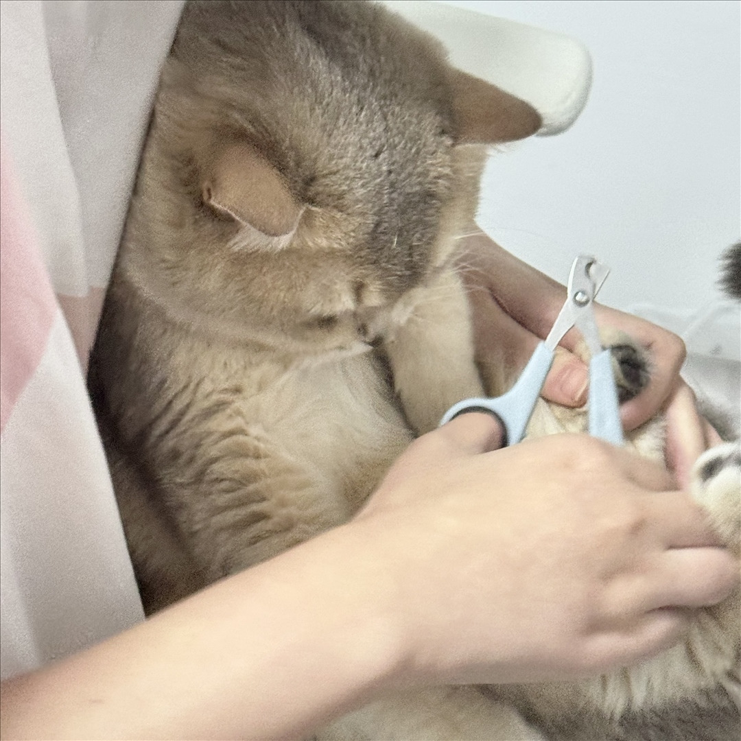 眼酱大魔王w---24年06月Fantia会员订阅-38P6V-8133-MB-20240904k-09-06