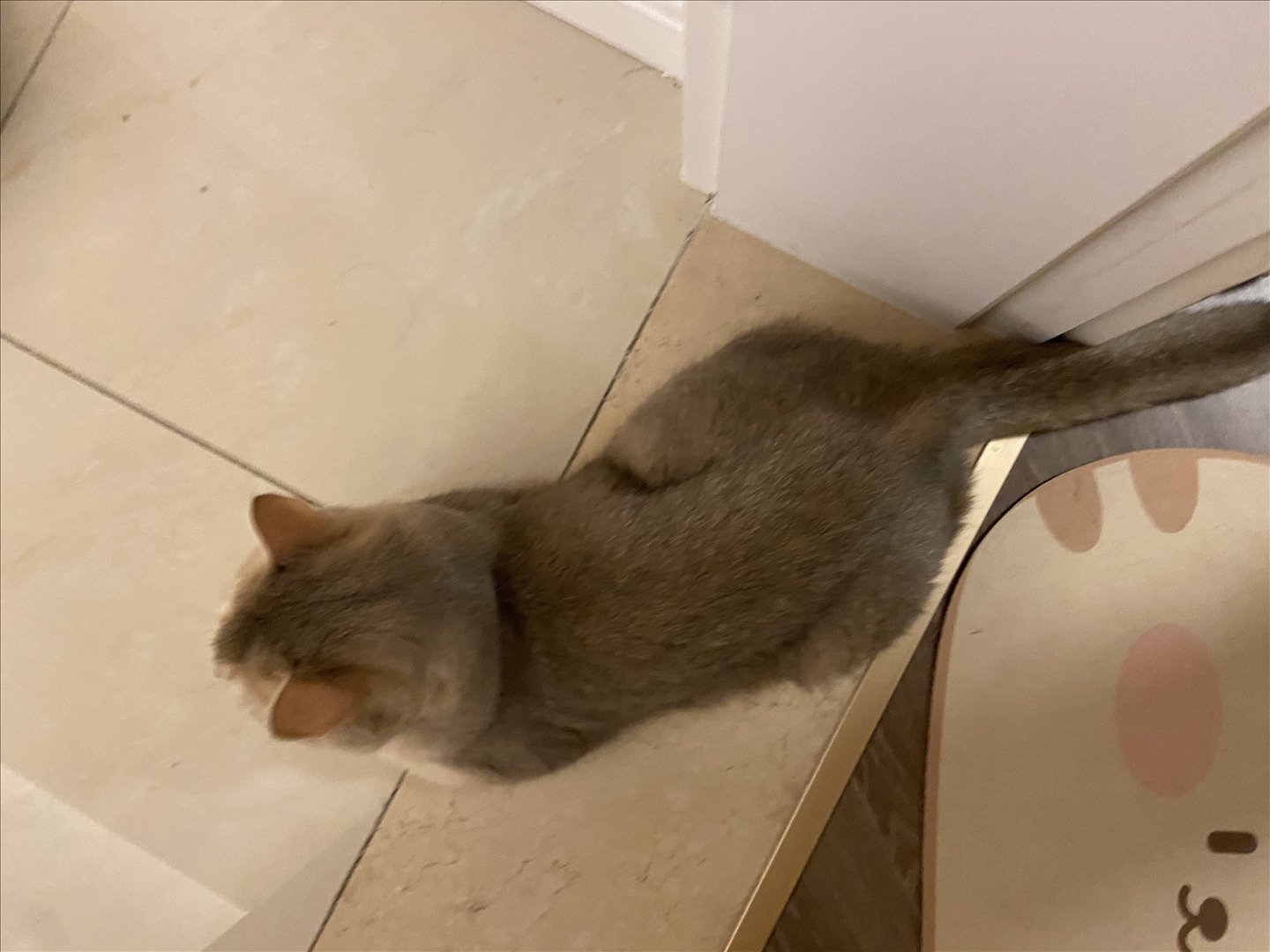 眼酱大魔王w---24年06月Fantia会员订阅-38P6V-8133-MB-20240904k-09-06