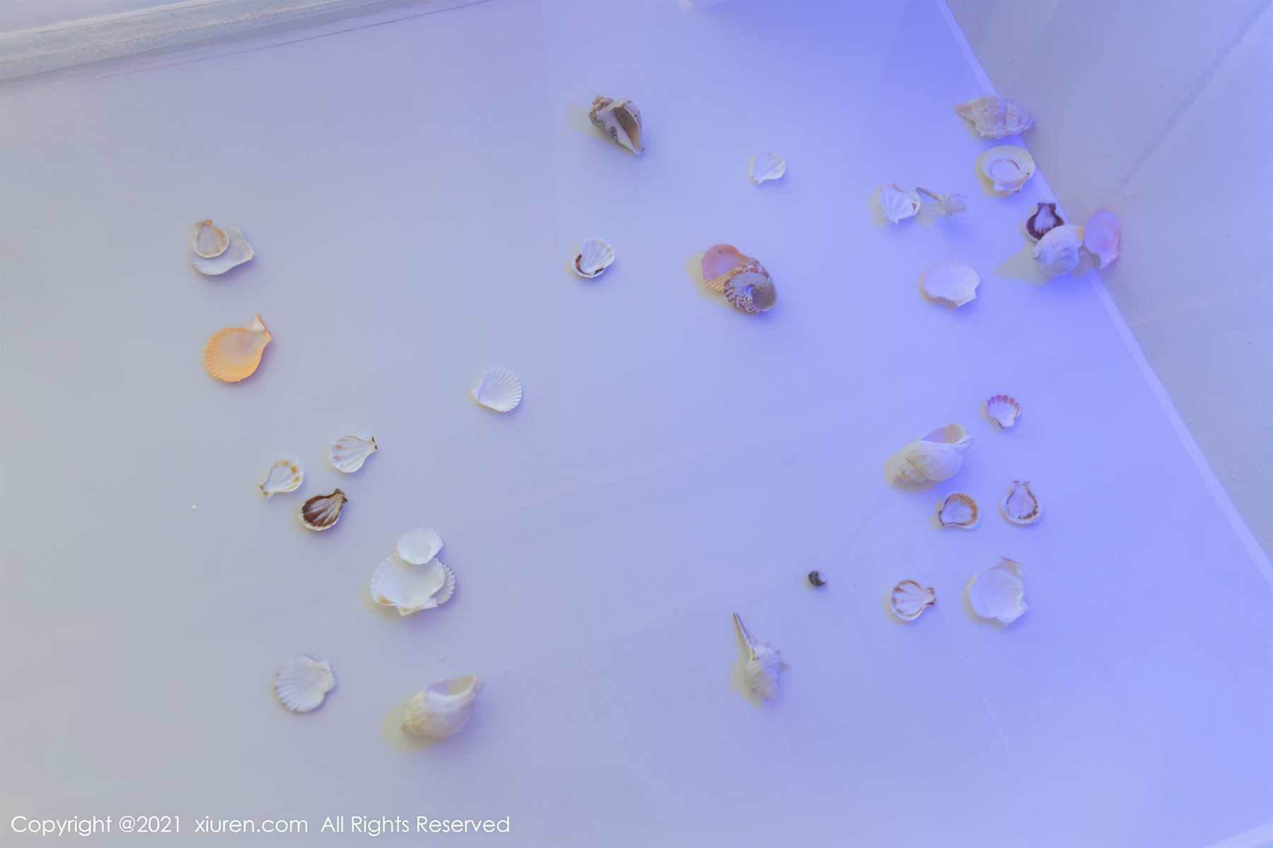 XiuRen秀人网-20211022-NO4103-允爾-10-28