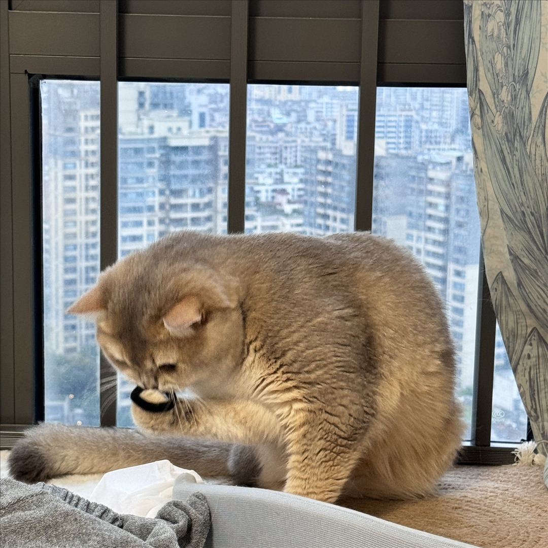 眼酱大魔王w---24年06月Fantia会员订阅-38P6V-8133-MB-20240904k-09-06