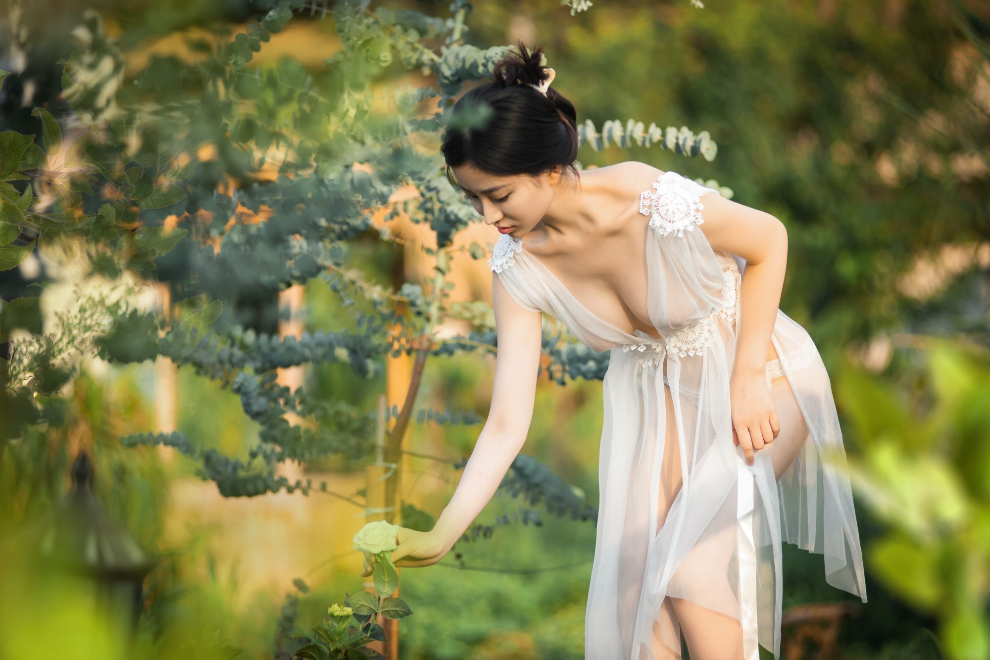 年年---神明之女40P-2323M-01-25