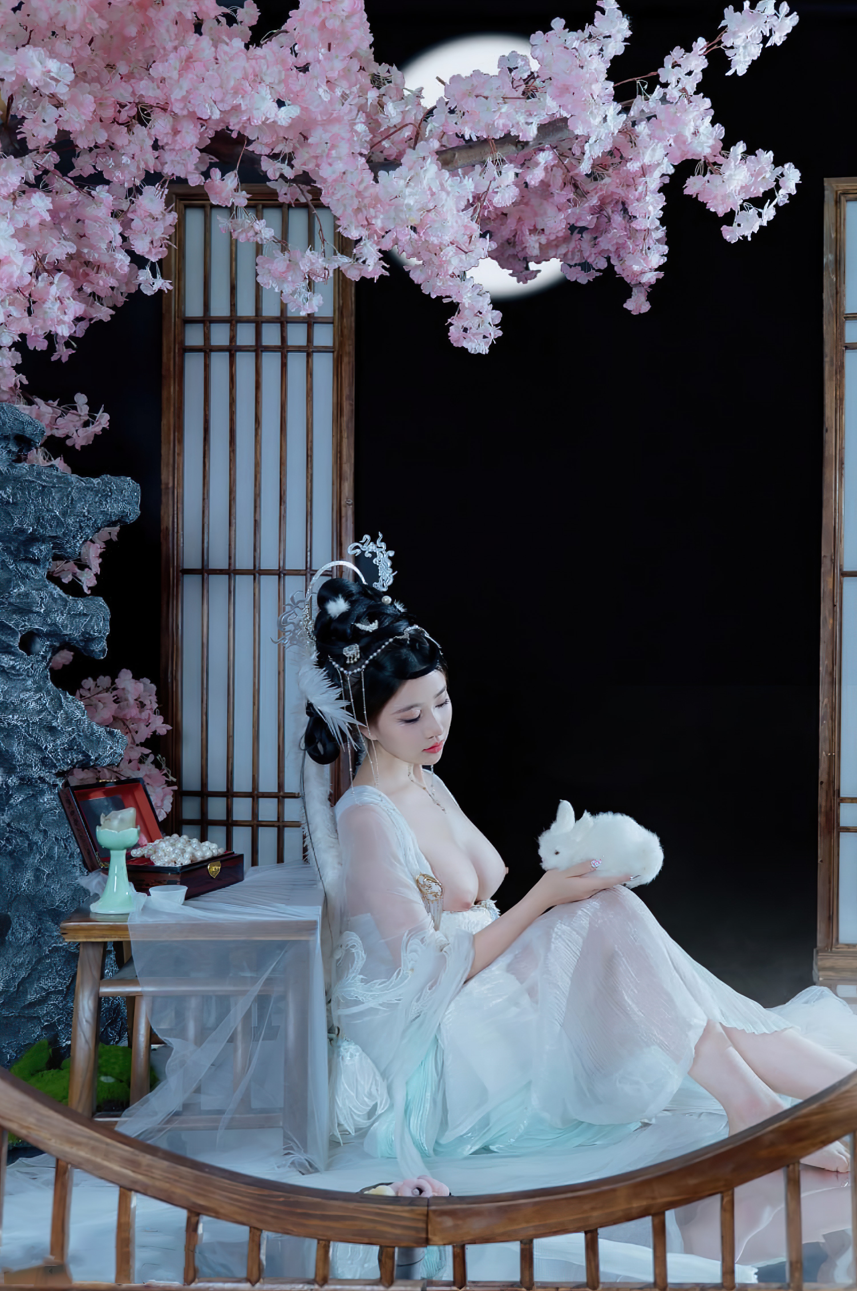 年年-嫦娥仙子-49P-808MB-11-20