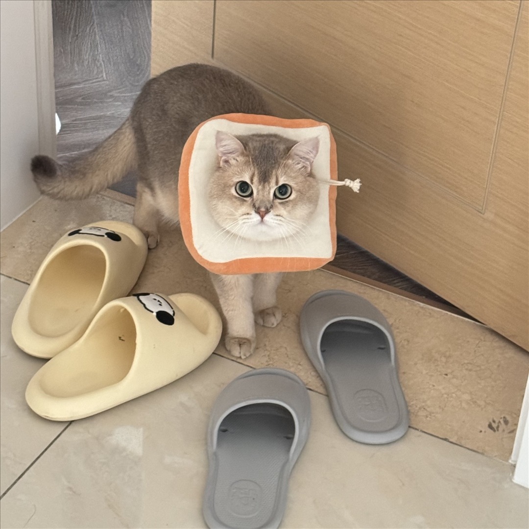 眼酱大魔王w---24年07月Fantia会员订阅-41P4V-9111-MB-20240901ad-09-03