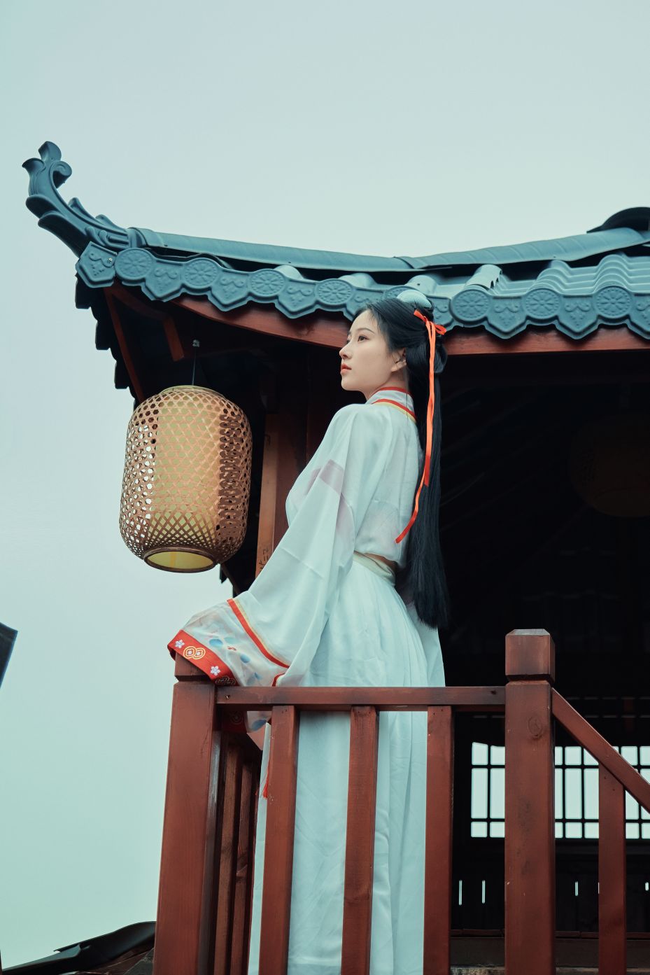 年年---如梦令40P-7333M-01-25