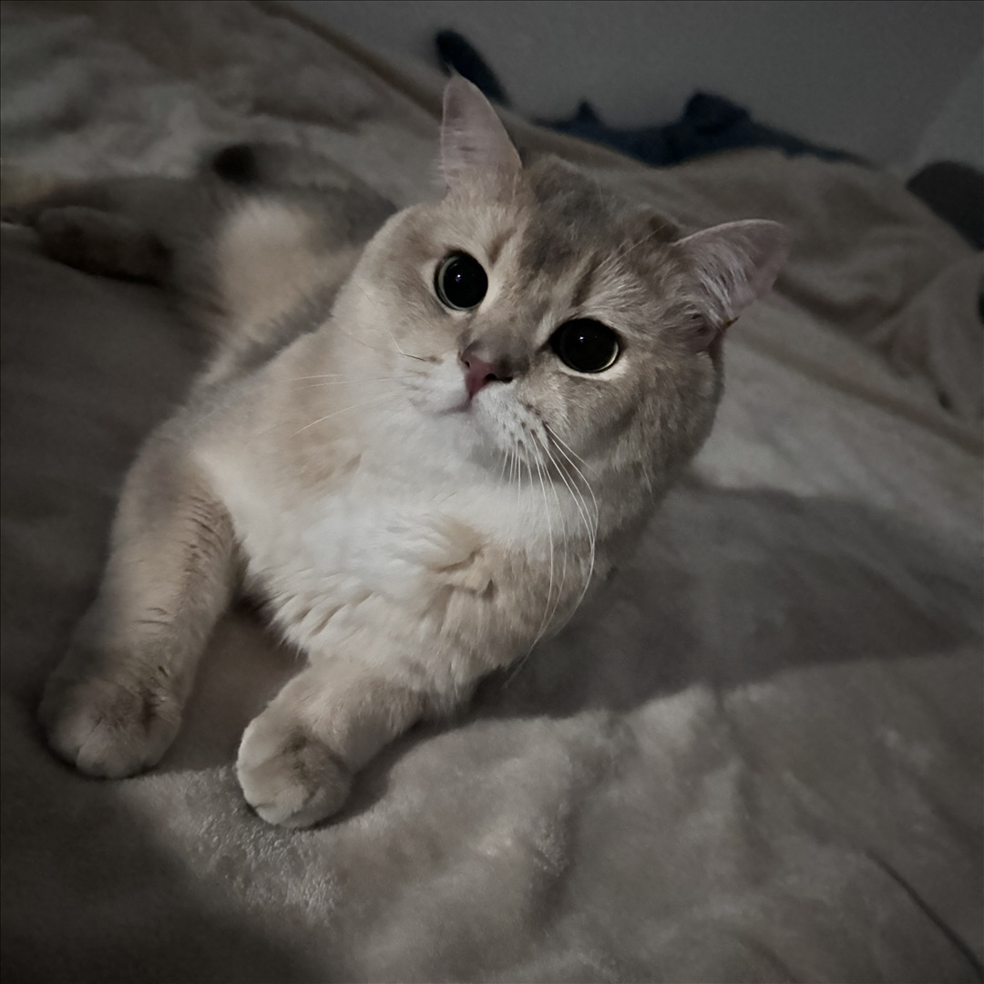 眼酱大魔王w---24年06月Fantia会员订阅-38P6V-8133-MB-20240904k-09-06